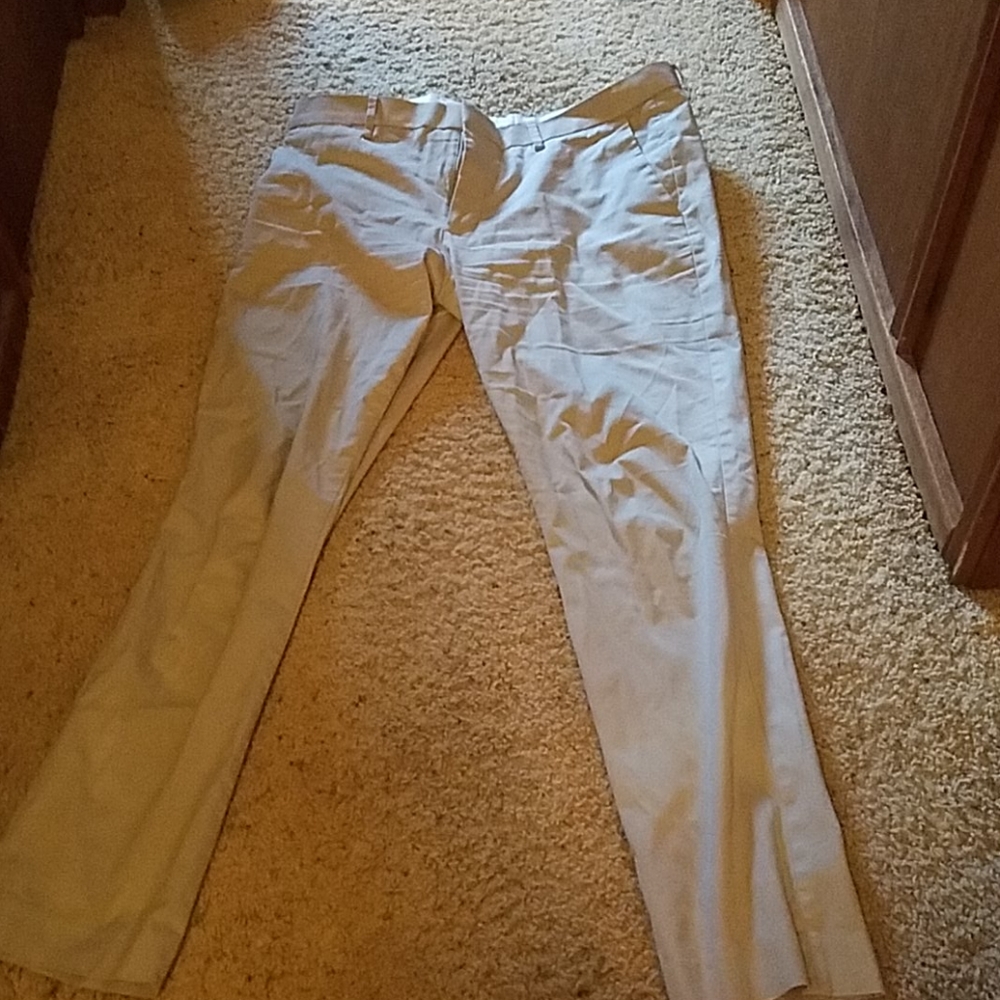 Express dress pants